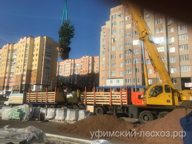 Ozelenenie-posadochnym-materialom-Ufa